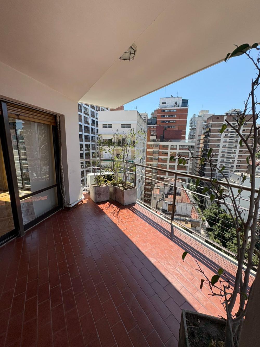 Sucre 2100, Belgrano