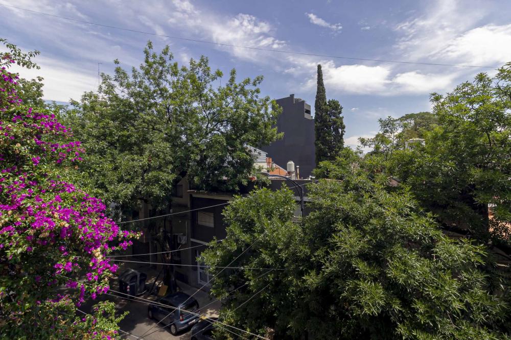 Moldes 4053, Saavedra